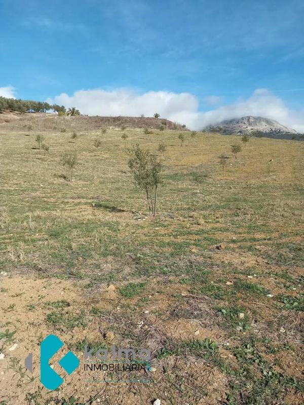 Terreno en venta en Casabermeja, Malaga photo 2