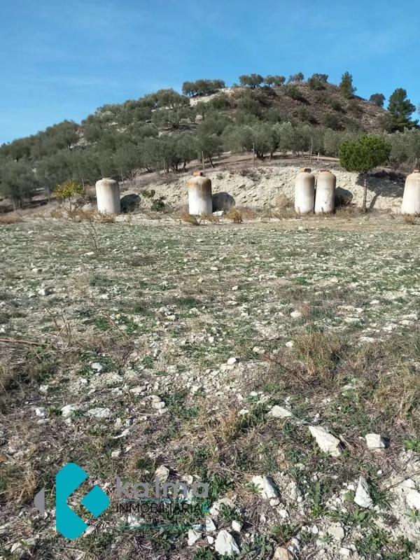 Terreno en venta en Casabermeja, Malaga photo 3