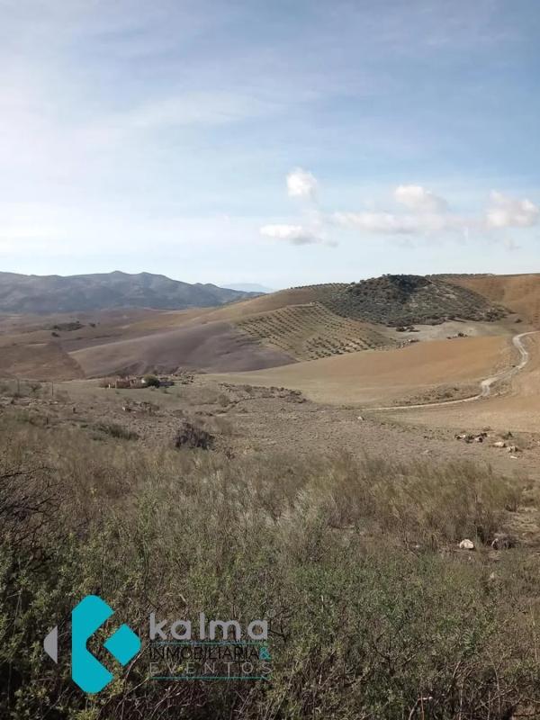 Terreno en venta en Casabermeja, Malaga photo 5