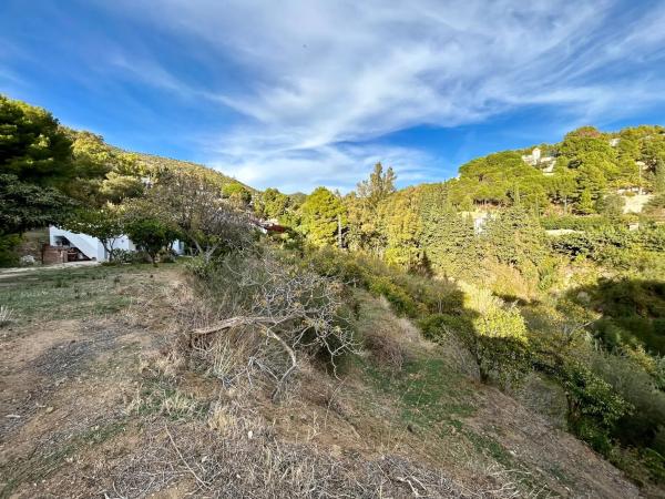 Terreno en calle santa rosa s/n thumbnail 1