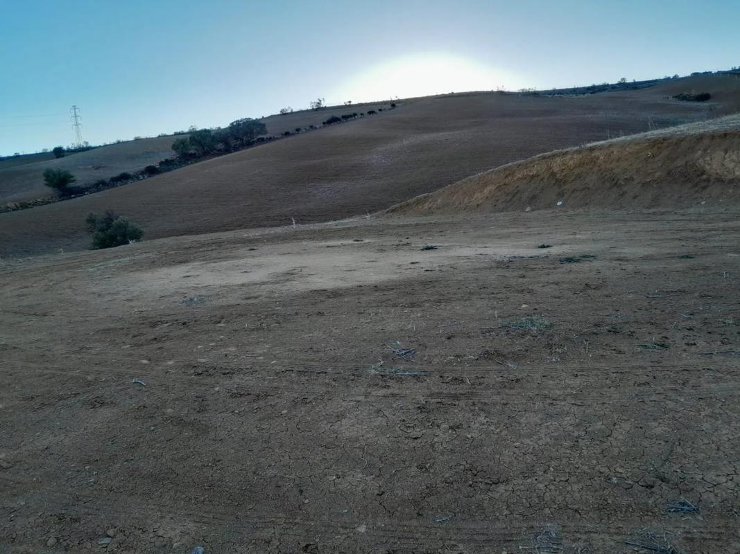 Działka na sprzedaż w Alora, Malaga photo 3