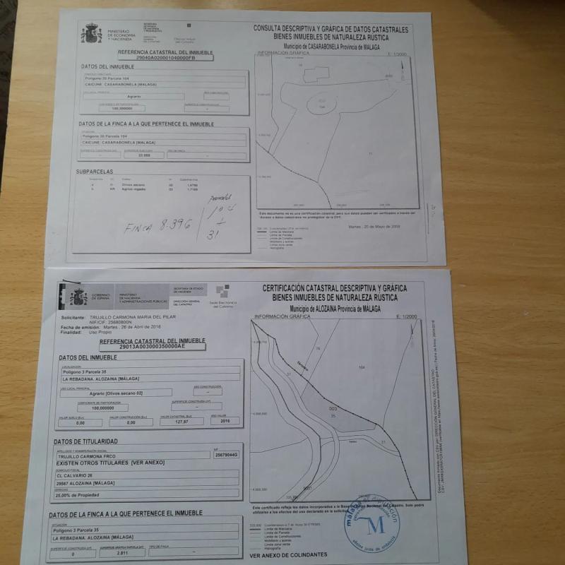 Land for sale in Casarabonela, Malaga plan 1