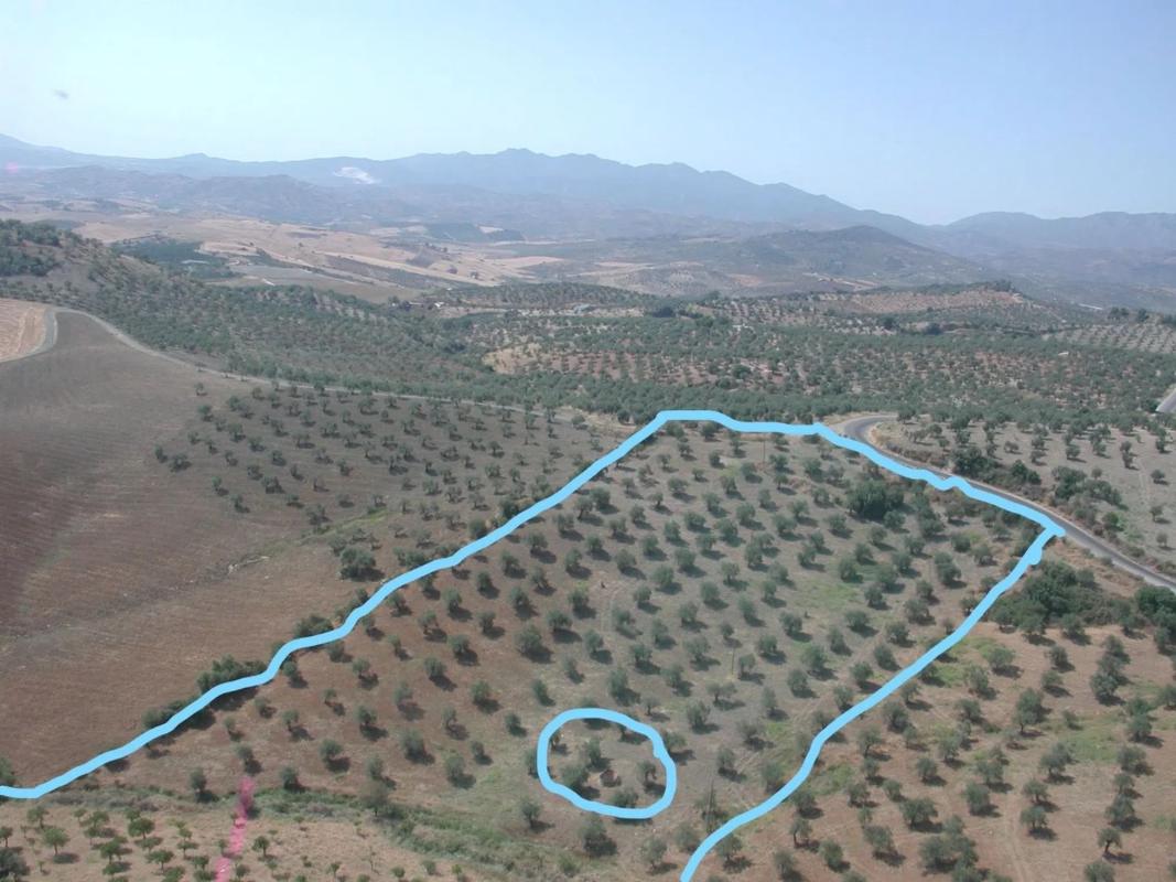 Land for sale in Casarabonela, Malaga photo 4