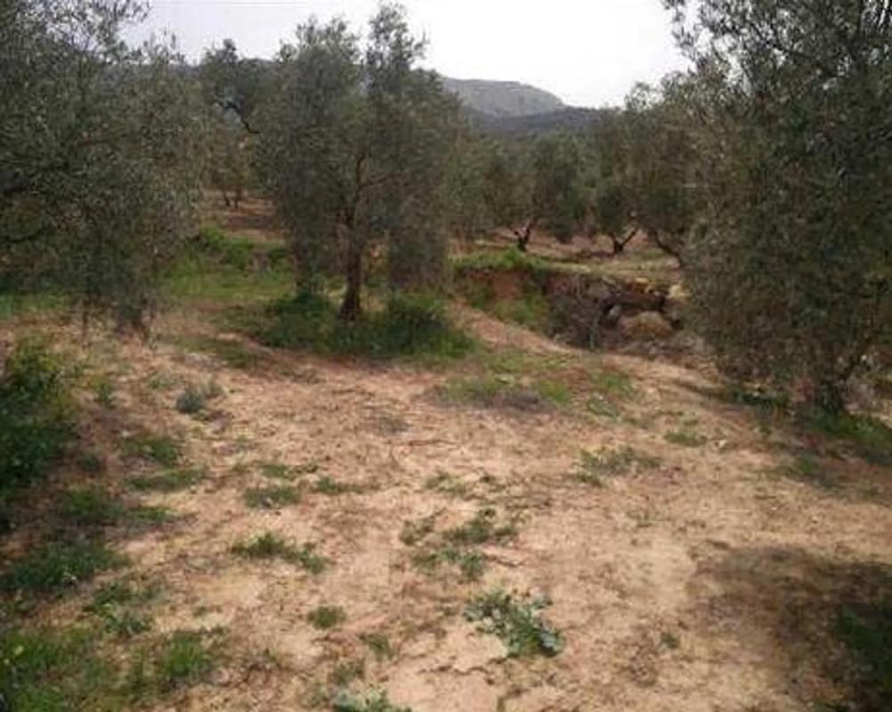 Terreno en venta en Villanueva del Trabuco, Malaga photo 1