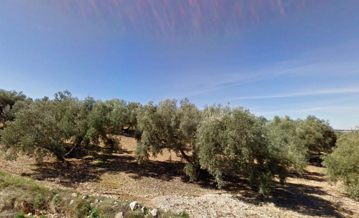 Terreno en venta en Villanueva del Trabuco, Malaga photo 3
