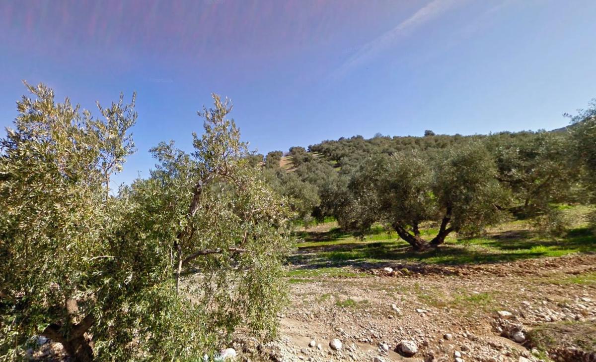 Terreno en venta en Villanueva del Trabuco, Malaga photo 4