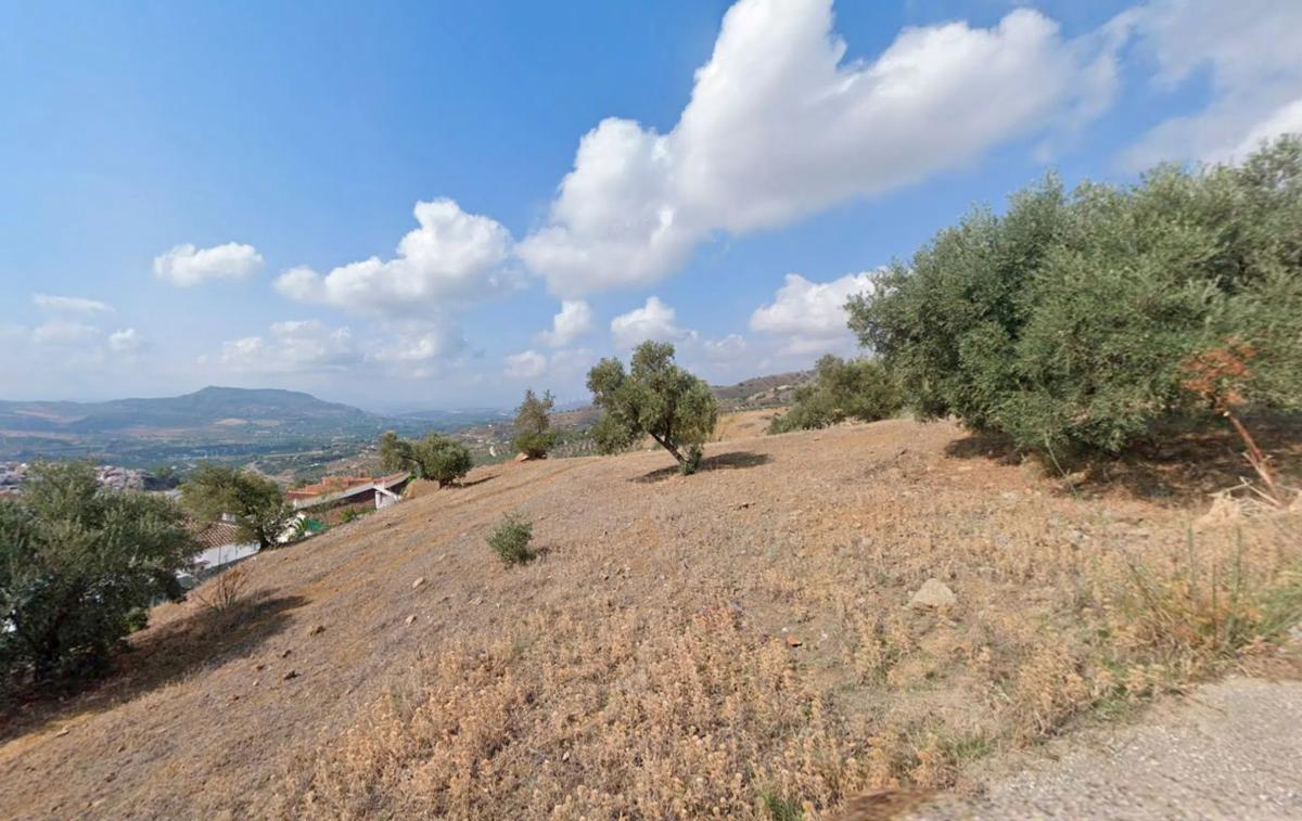 Terreno en venta en Alora, Malaga photo 2