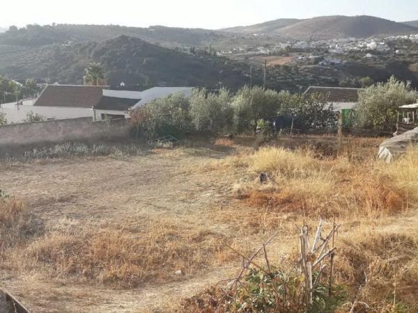 Terreno en calle La Pedriza s/n photo 1