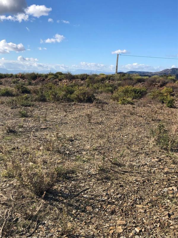 Terreno en venta en Moclinejo, Malaga photo 2