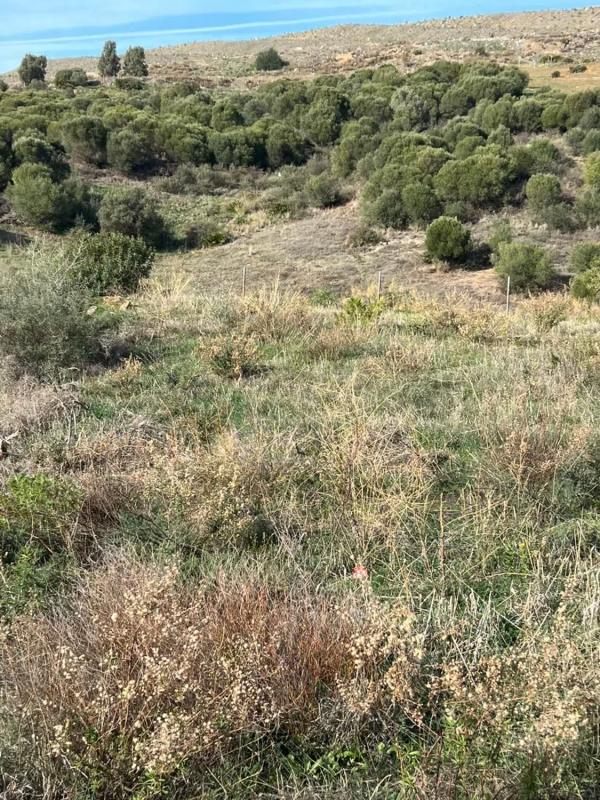 Terreno en venta en Casares, Malaga photo 3