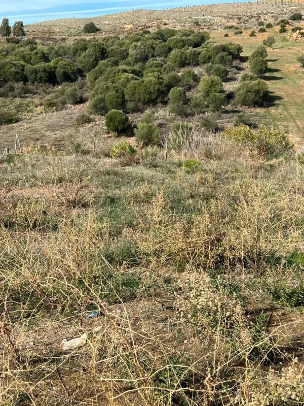 Terreno en venta en Casares, Malaga photo 5