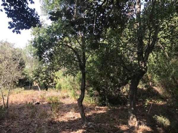 Terreno en Lugar Acedia, 25 photo 1