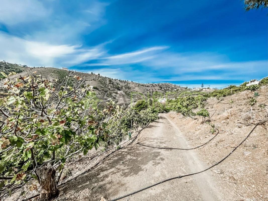 Land for sale in Torrox, Malaga photo 1