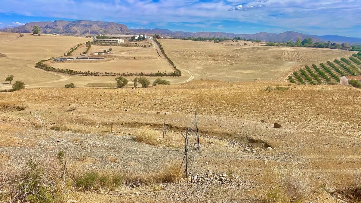 Terreno en venta en Cártama, Malaga photo 3