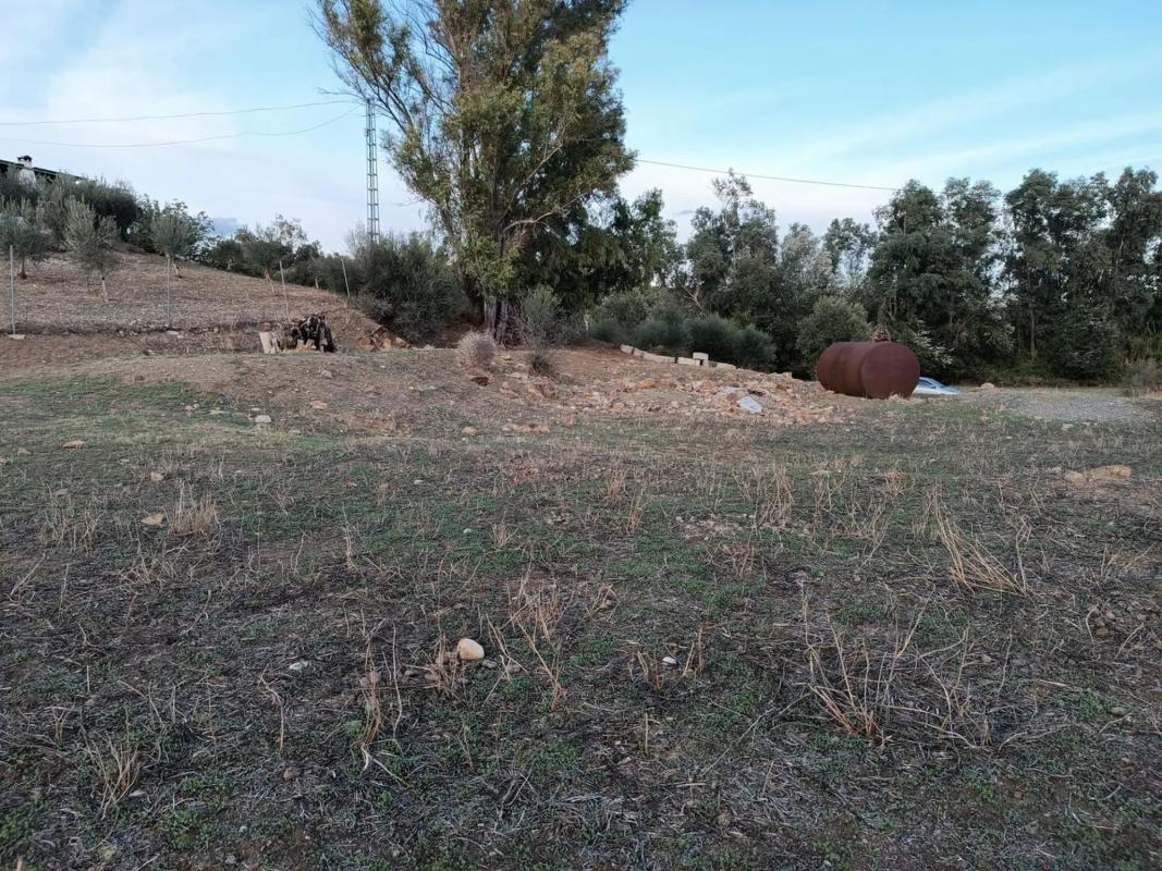Land for sale in Coin, Malaga photo 1