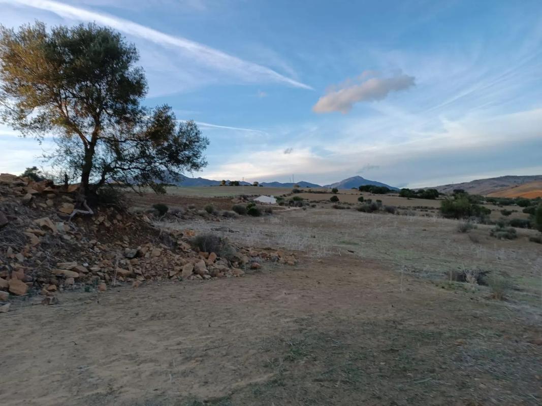 Land for sale in Coin, Malaga photo 2
