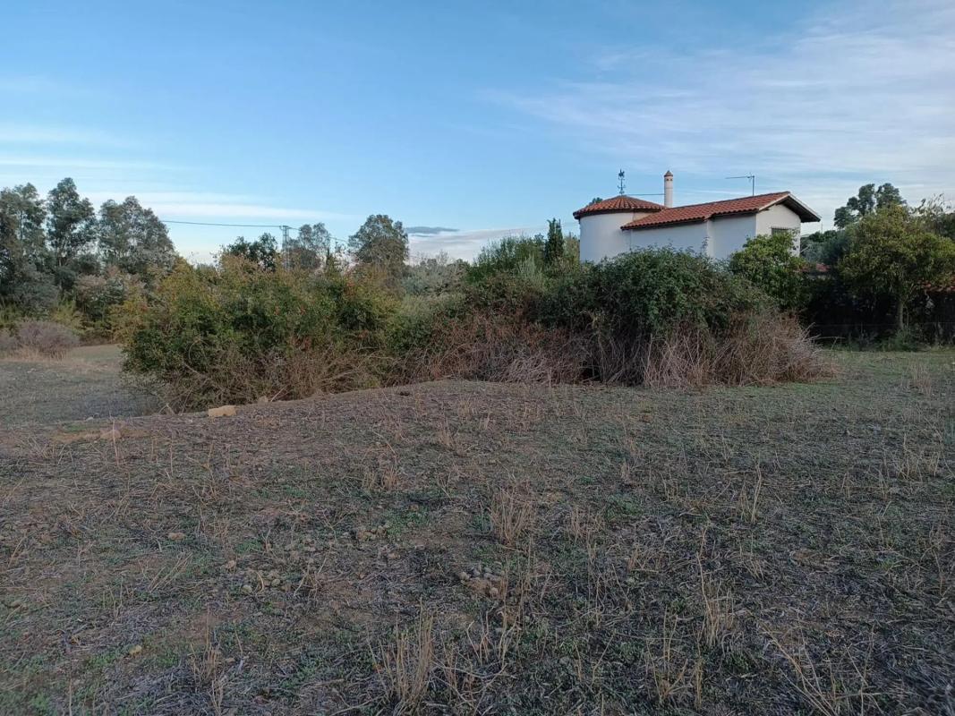 Land for sale in Coin, Malaga photo 4