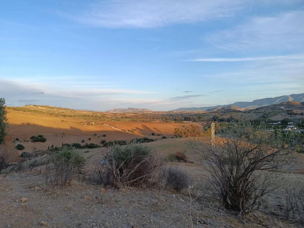 Land for sale in Coin, Malaga photo 5
