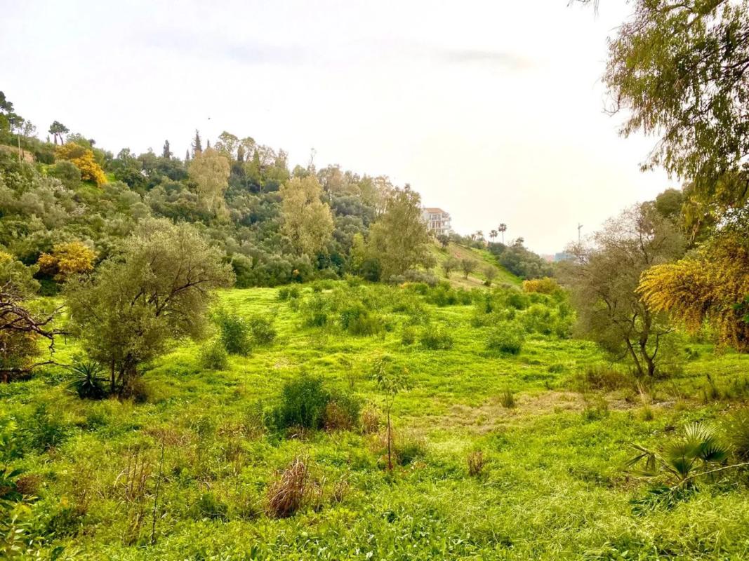 Terreno en venta en Benahavís, Malaga photo 5