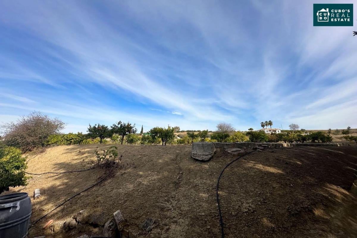 Terreno en venta en Alhaurín el Grande, Malaga photo 4