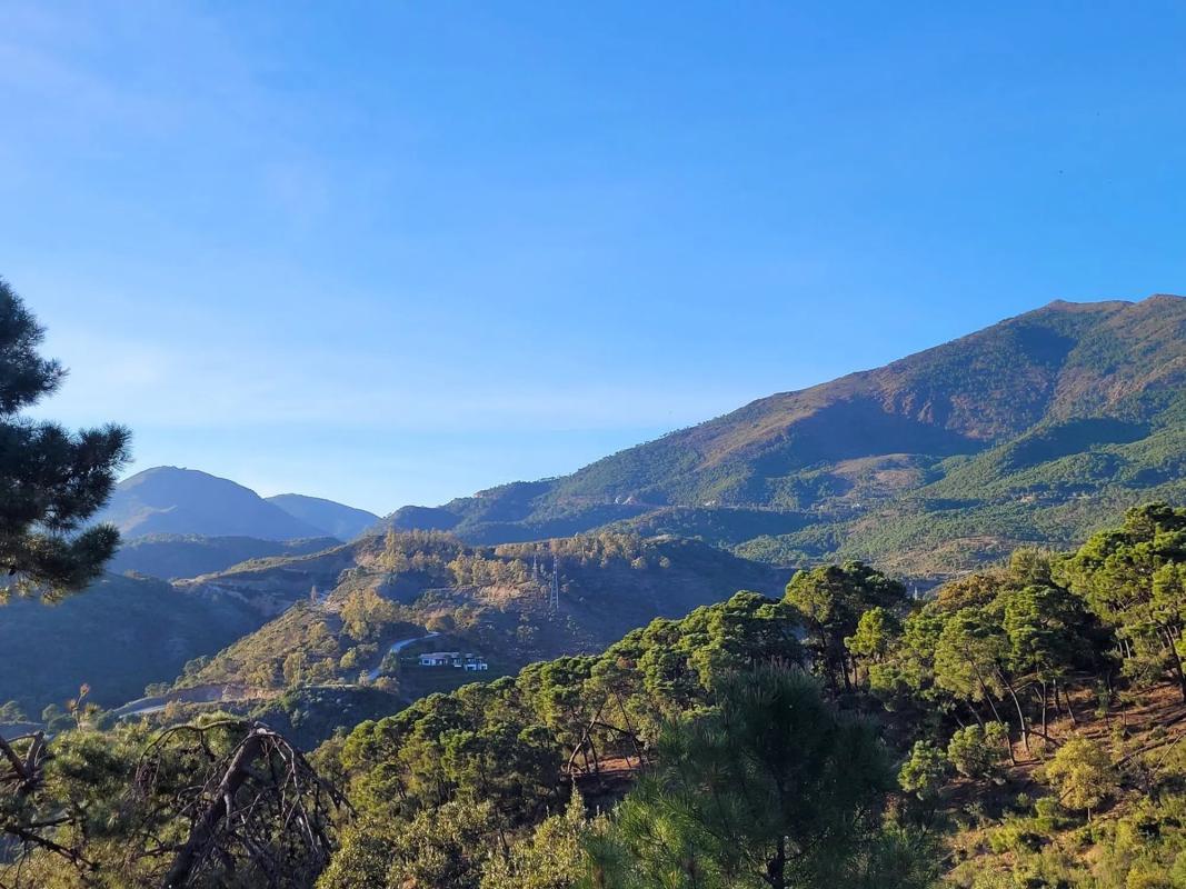 Land for sale in Benahavís, Malaga photo 2