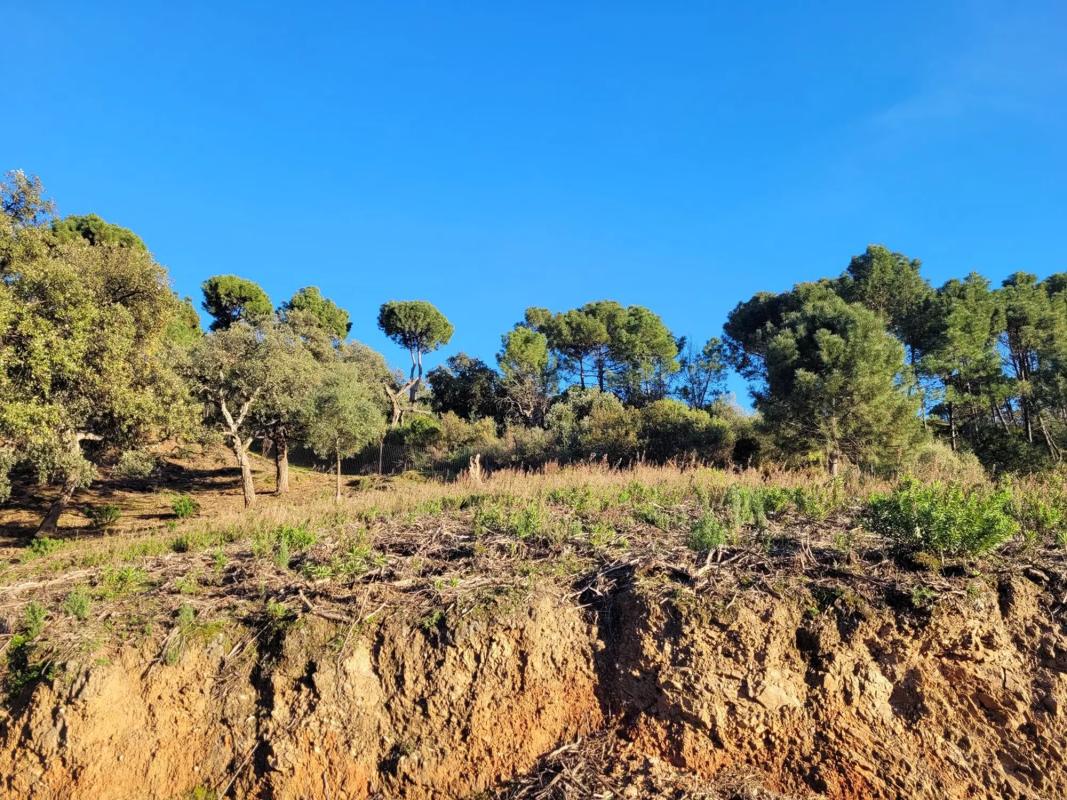 Land for sale in Benahavís, Malaga photo 3
