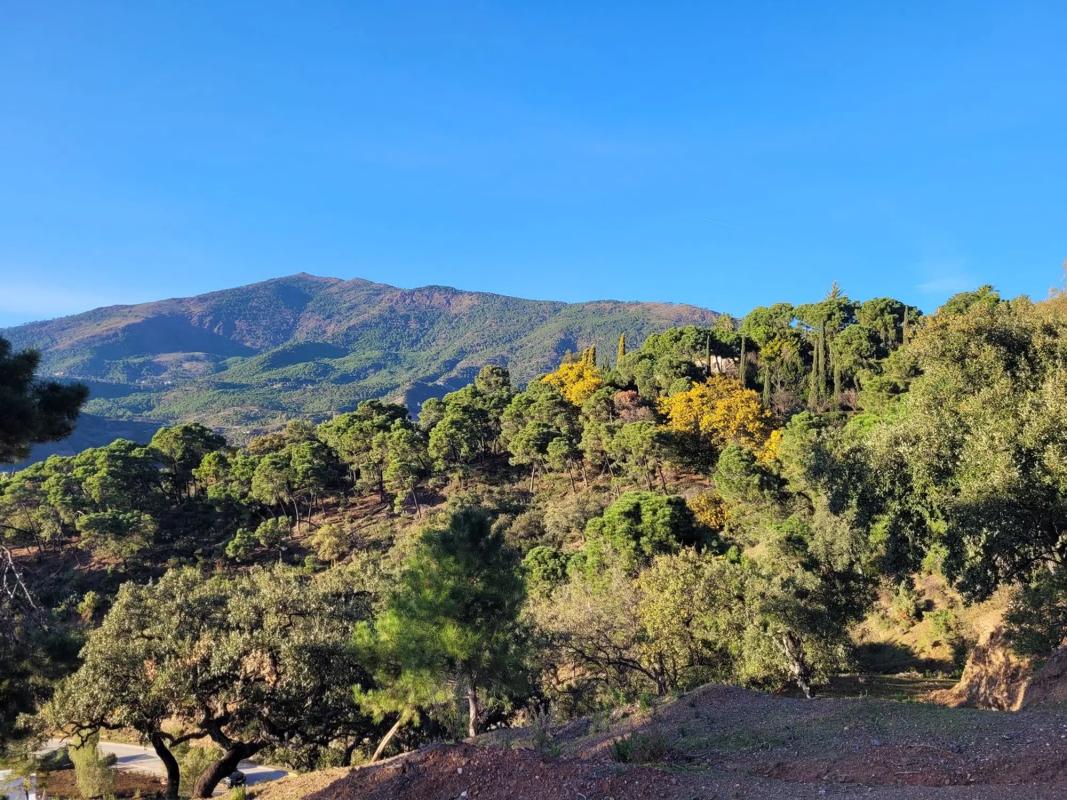 Land for sale in Benahavís, Malaga photo 4