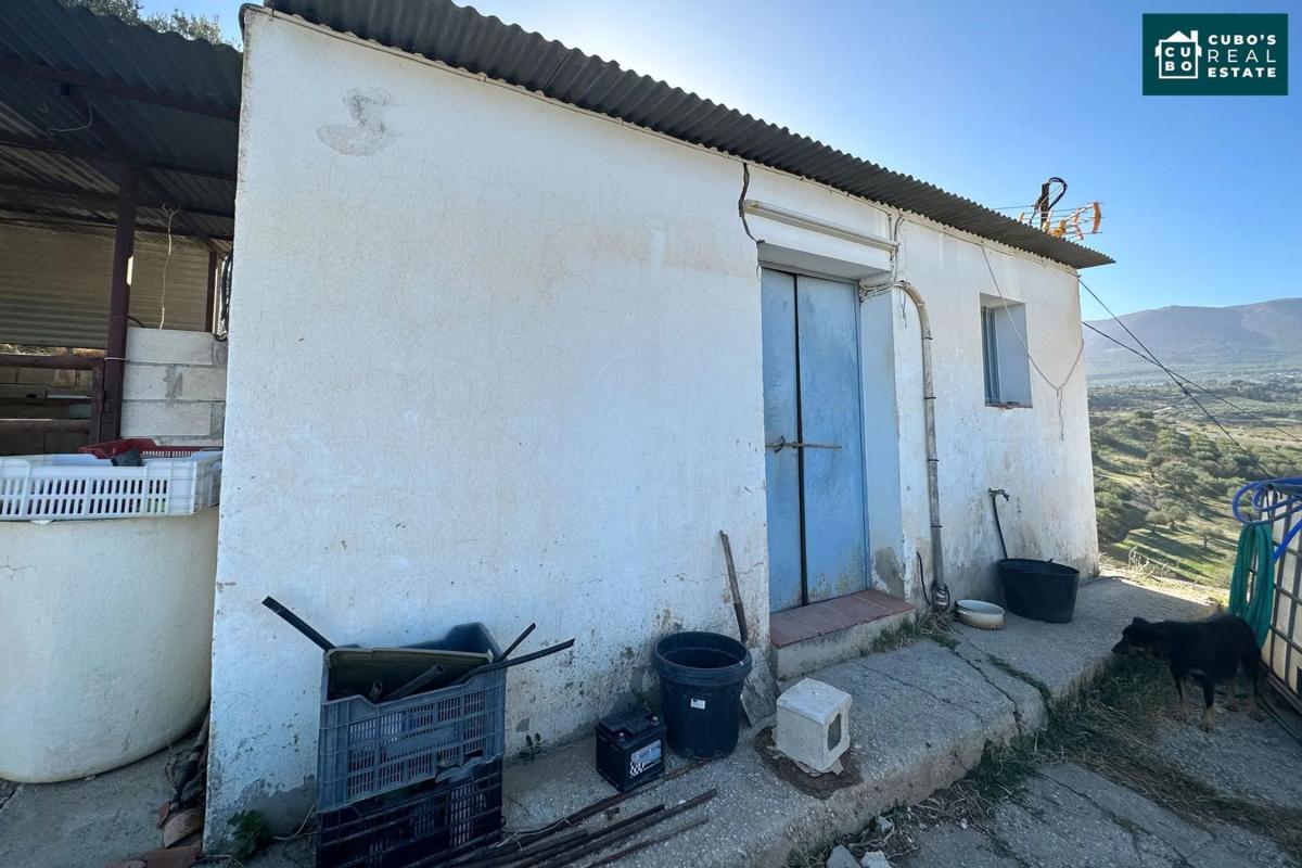 Участок земли на продажу в Алхаурин-эль-Гранде, Малага photo 3