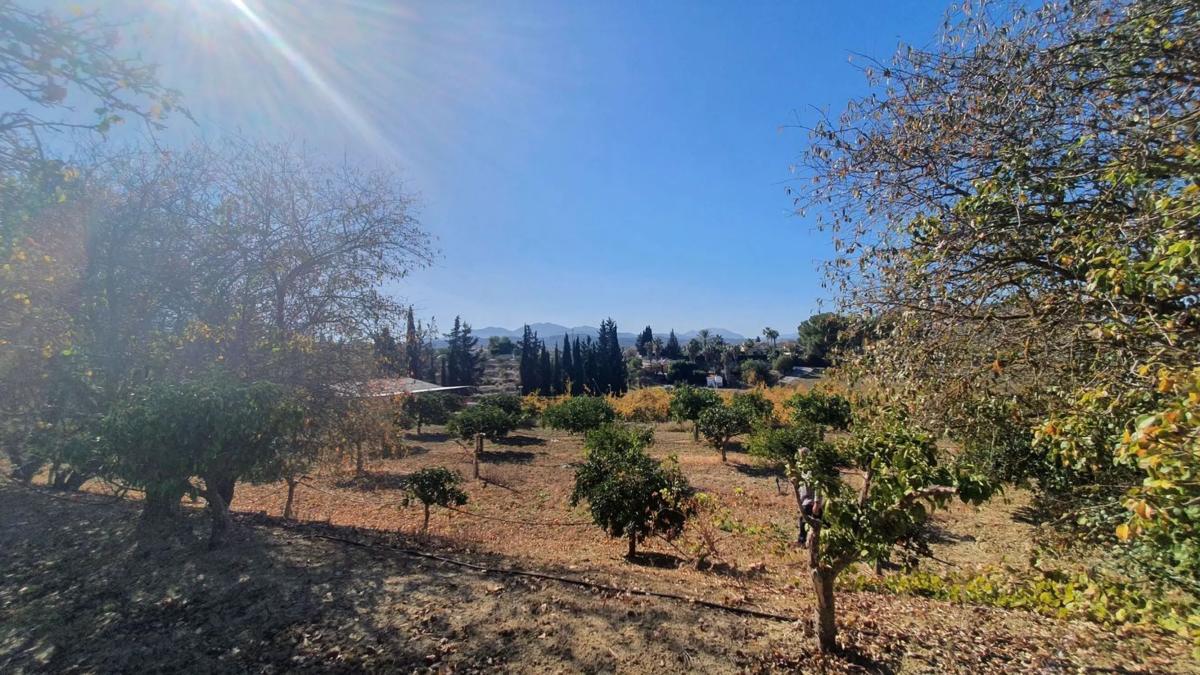 Terreno en venta en Alhaurín el Grande, Malaga photo 1