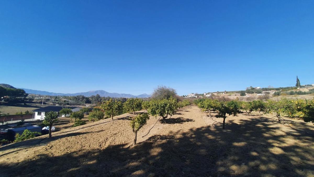 Terreno en venta en Alhaurín el Grande, Malaga photo 2