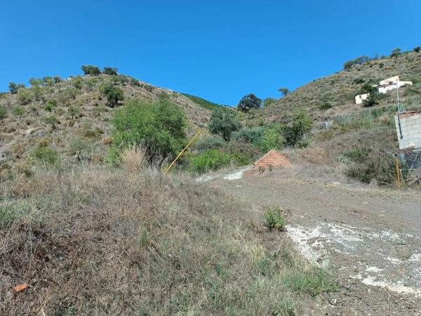 Terreno en El Borge photo 1