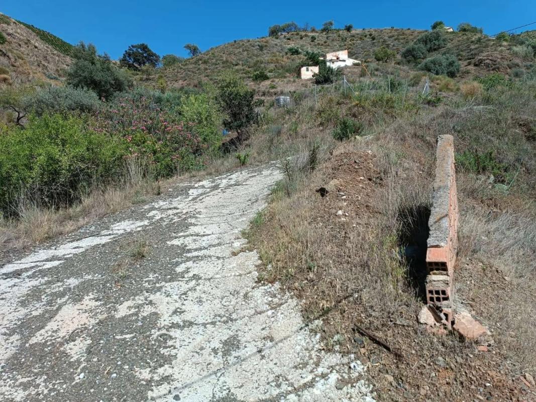 Land for sale in El Borge, Malaga photo 3