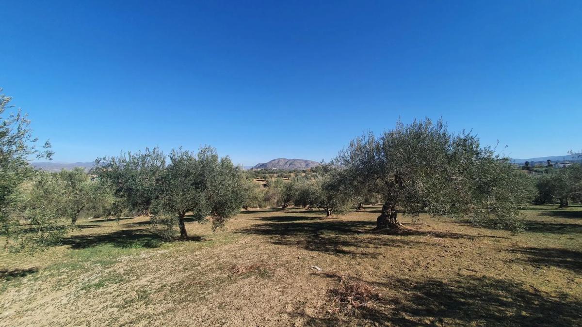 Land for sale in Alhaurín el Grande, Malaga photo 1
