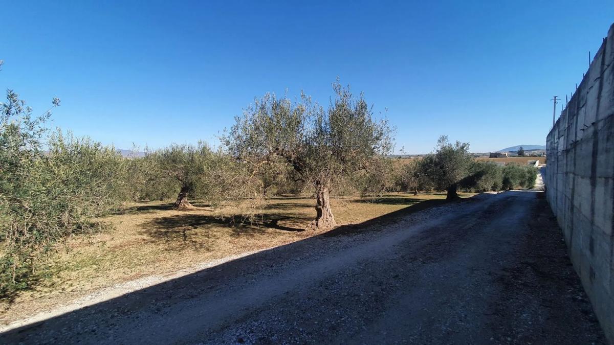 Land for sale in Alhaurín el Grande, Malaga photo 2