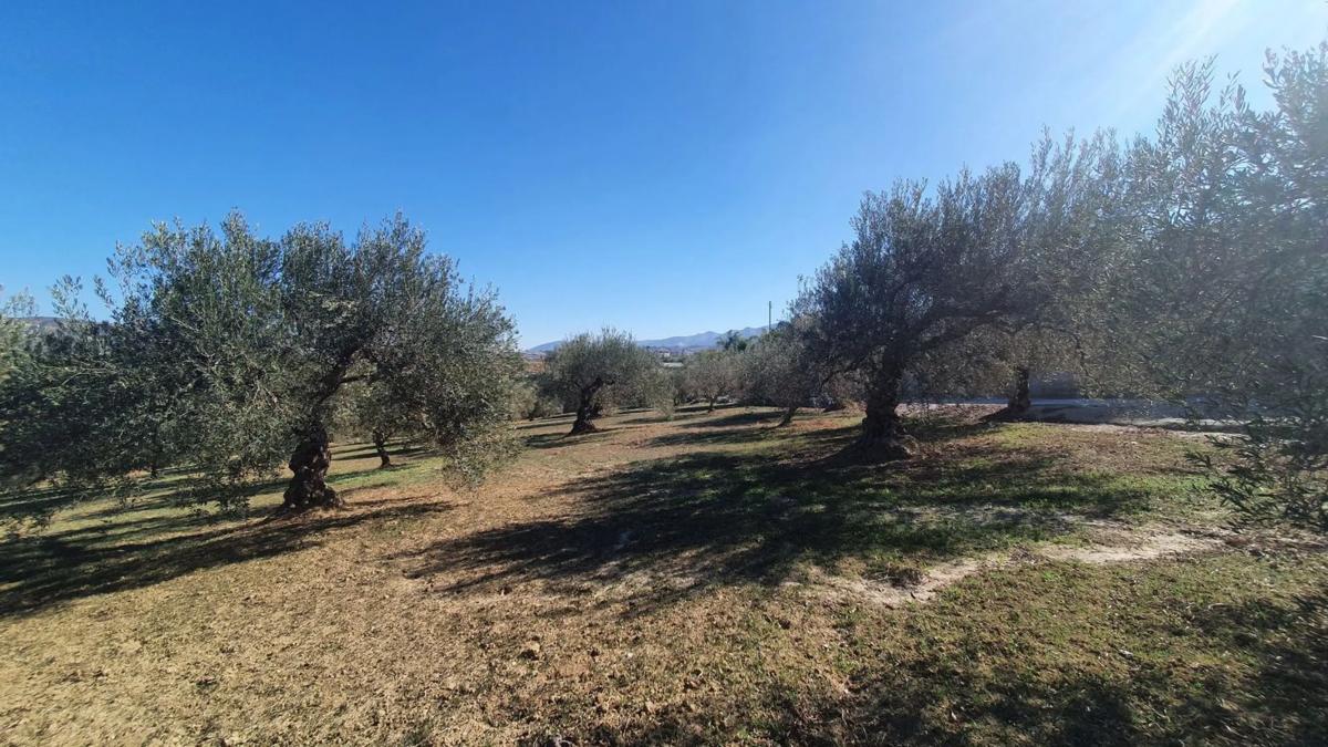 Land for sale in Alhaurín el Grande, Malaga photo 4