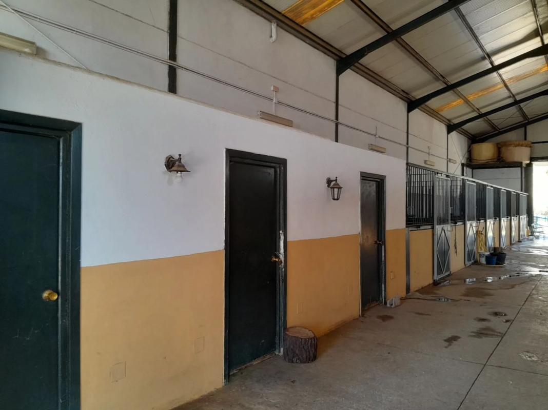 Terreno en venta en Marbella, Malaga photo 3