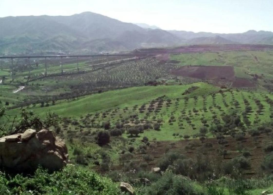 Land for sale in Alora, Malaga photo 2
