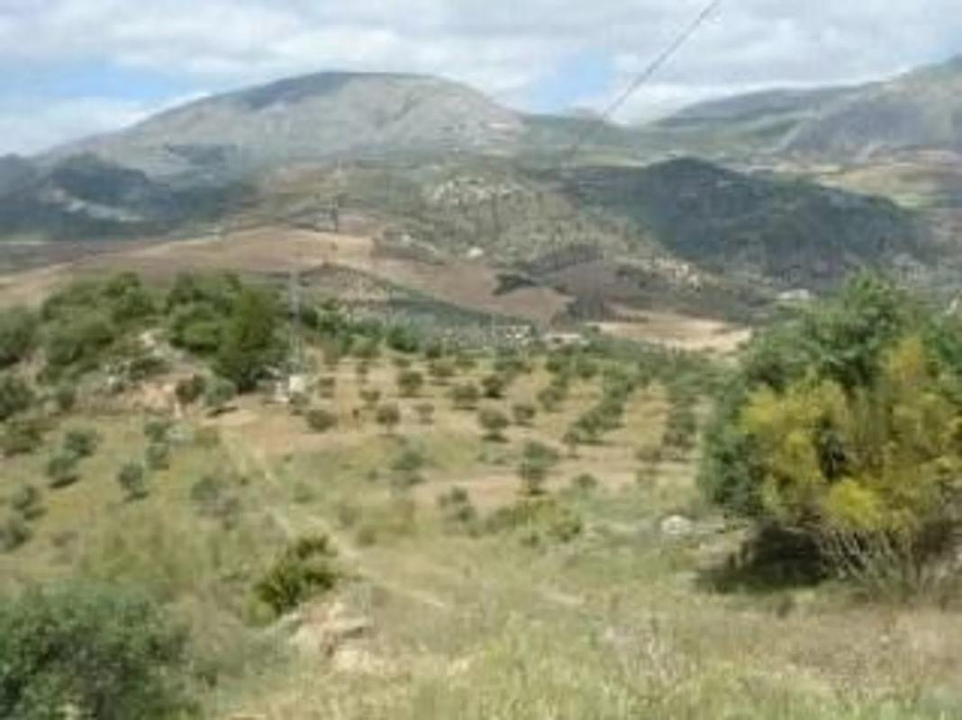 Land for sale in Alora, Malaga photo 3
