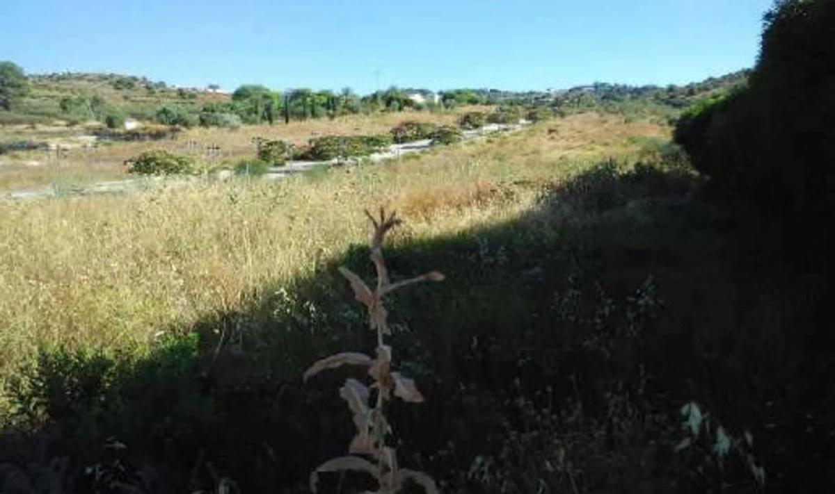Land for sale in Coin, Malaga photo 5