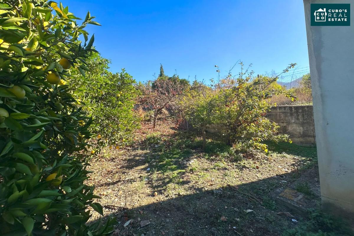 Terreno en venta en Alhaurín el Grande, Malaga photo 2
