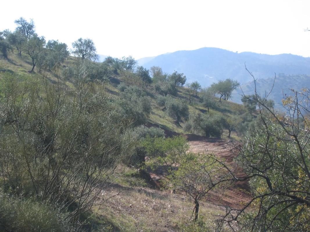 Terreno en venta en Alora, Malaga photo 1