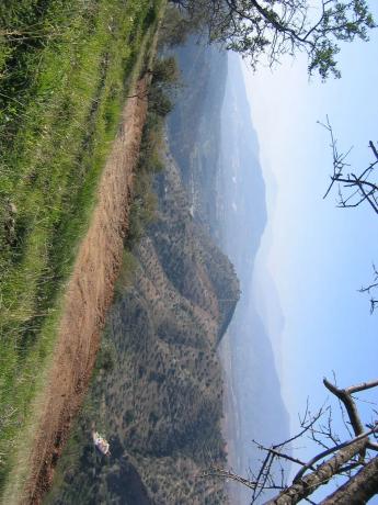 Terreno en Cerro de Chaves, 11608 photo 4