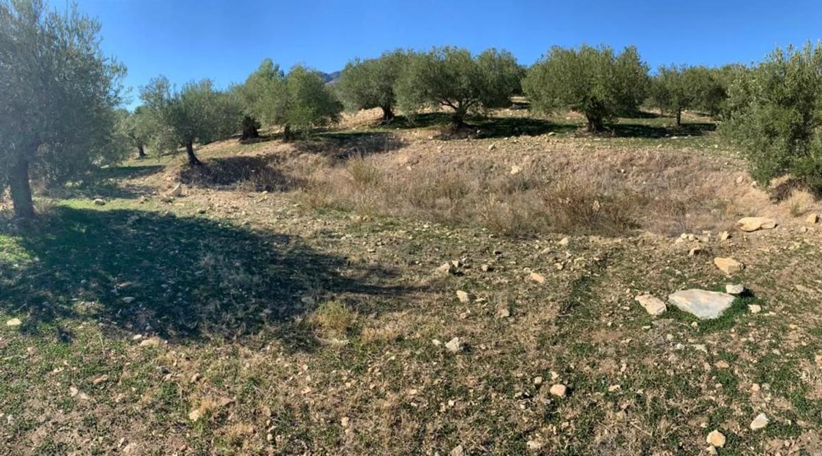 Terreno en venta en Casarabonela, Malaga photo 1