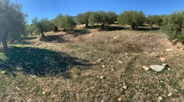 Terreno en Casarabonela photo 1