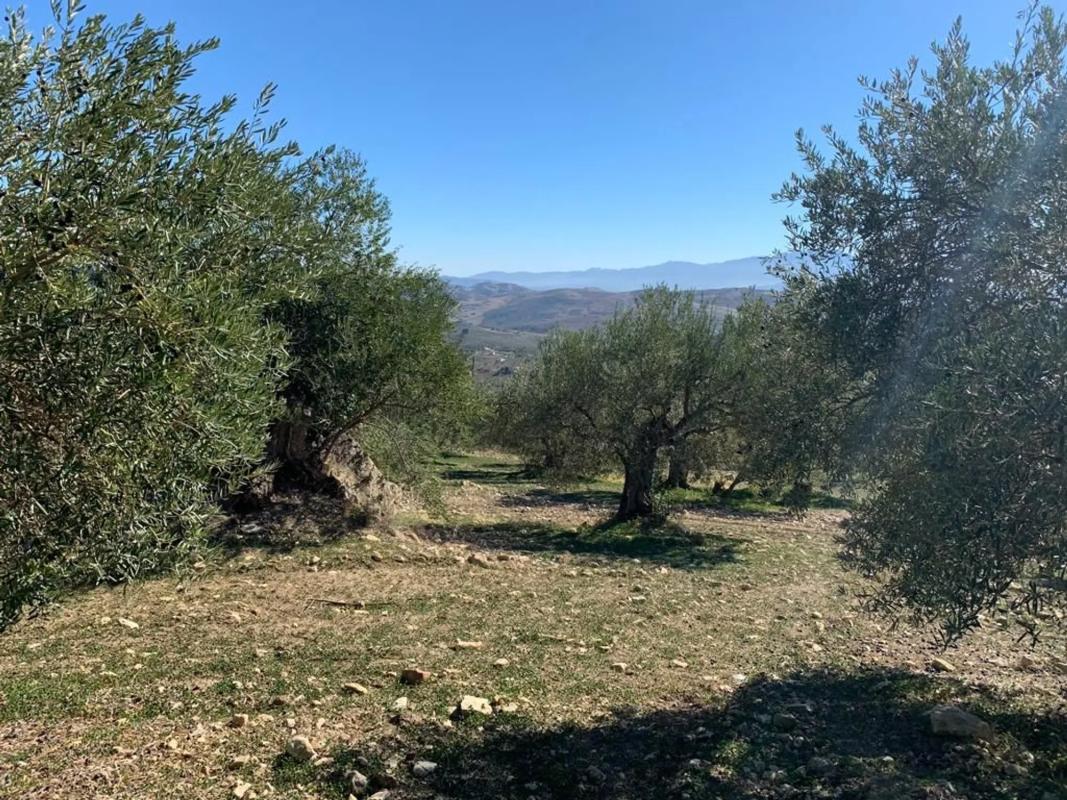 Terreno en venta en Casarabonela, Malaga photo 4