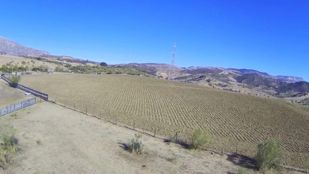 Land for sale in Alora, Malaga photo 2