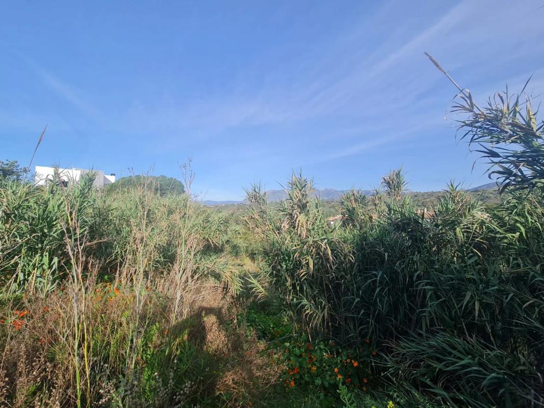 Terreno en venta en Marbella, Malaga photo 4