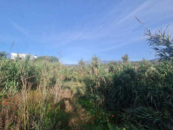 Terreno en Urbanización Parque Elviria photo 4