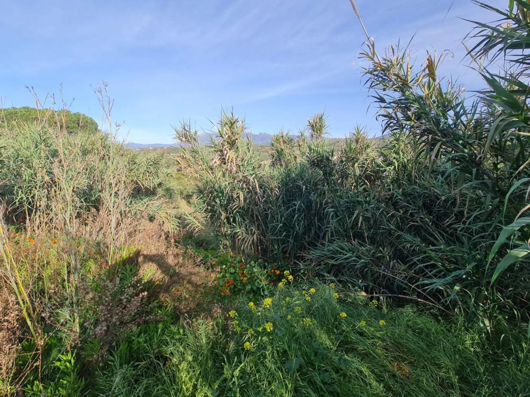 Terreno en venta en Marbella, Malaga photo 5