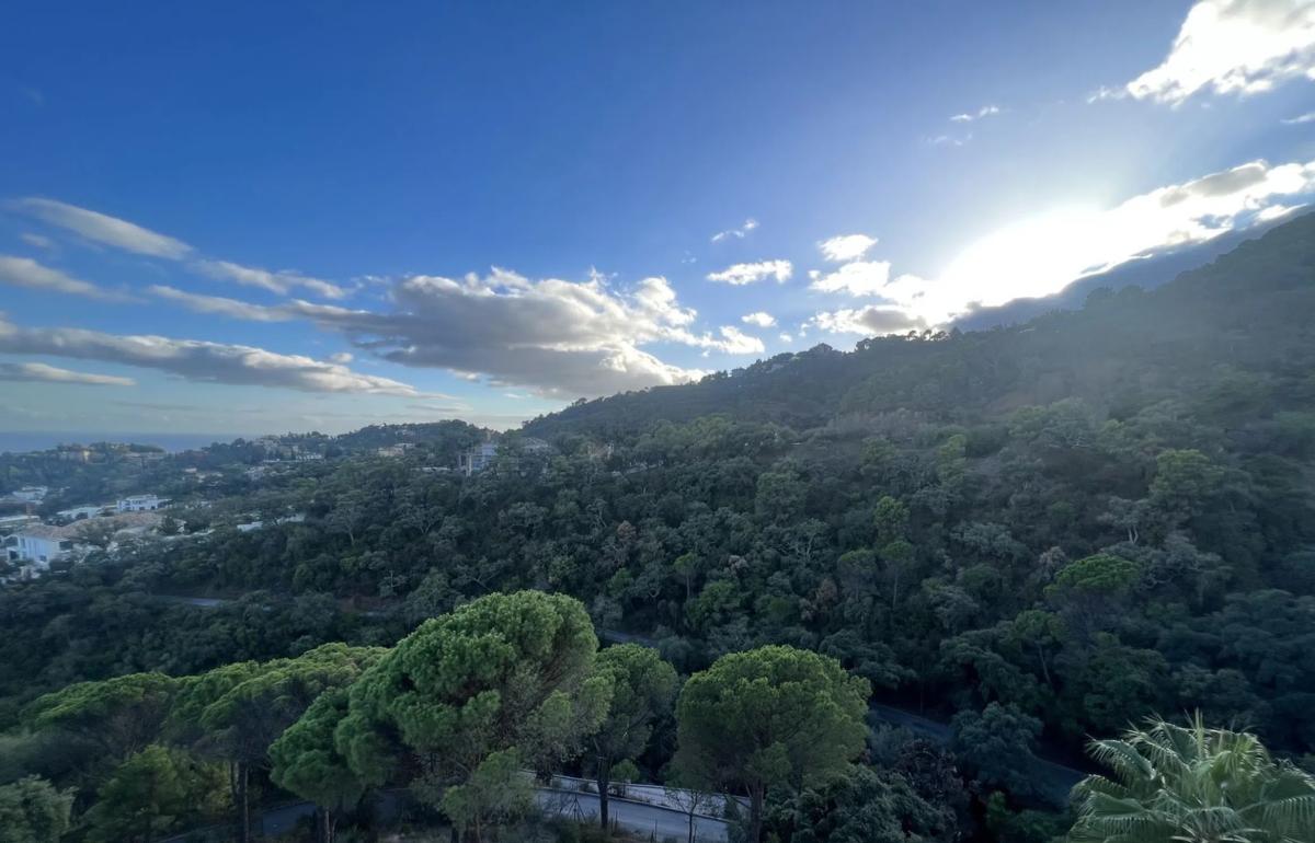Działka na sprzedaż w Benahavís, Malaga photo 3
